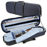 violin case - Artonus Bardo - colour GcG